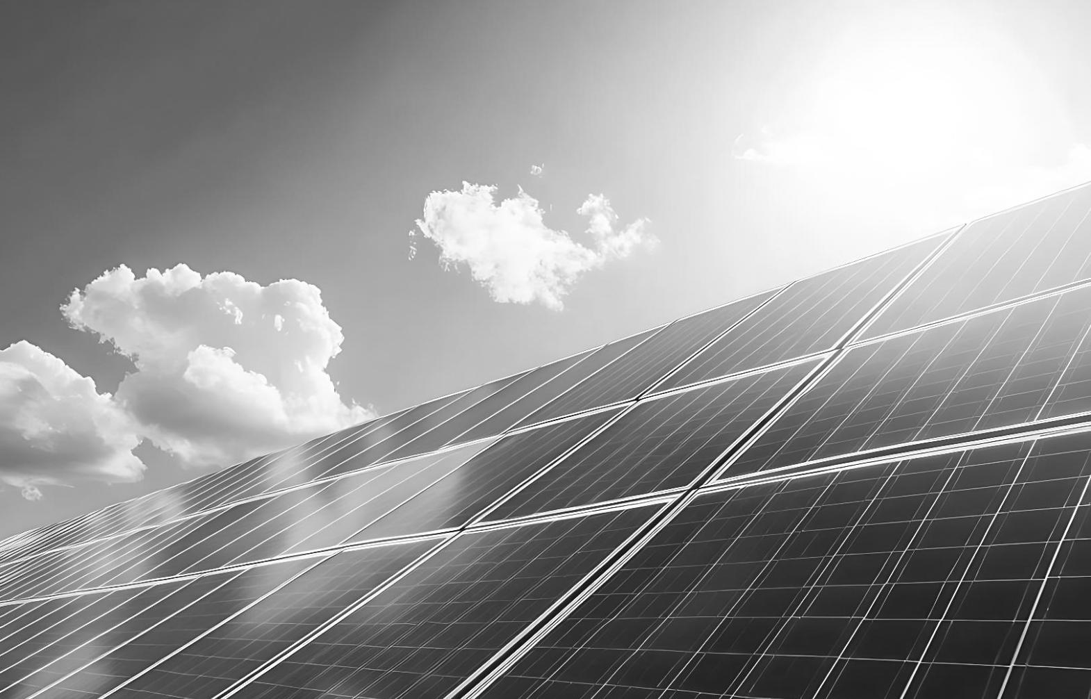 Équipe de recherche en énergie marine travaillant sur des projets innovants